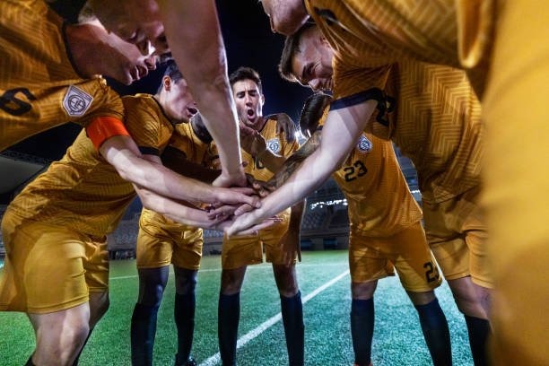 并计划向国 并计划向国