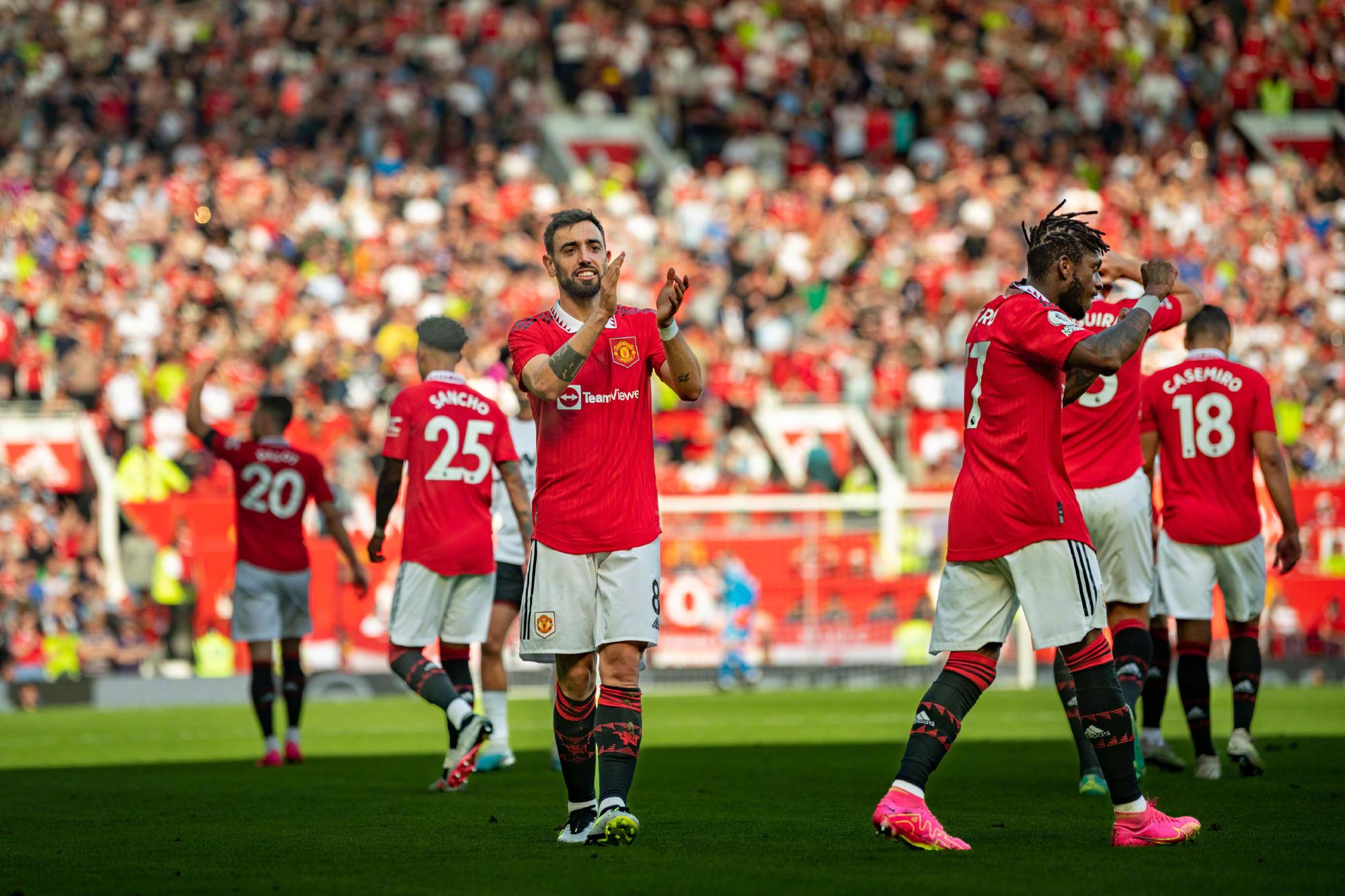 量的庇护 量的庇护